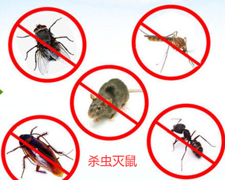 殺蟲滅鼠